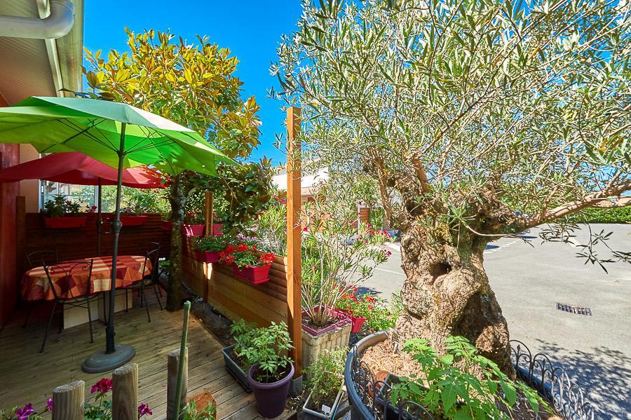 Residence La Baie Des Landes Gujan-Mestras Ngoại thất bức ảnh